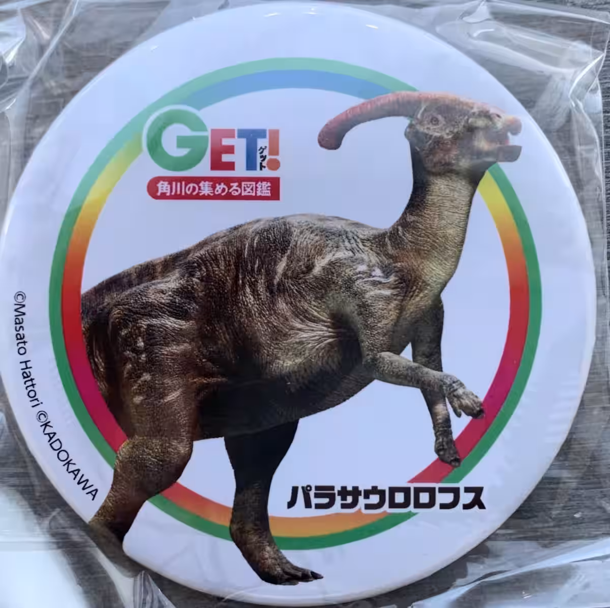 画像13