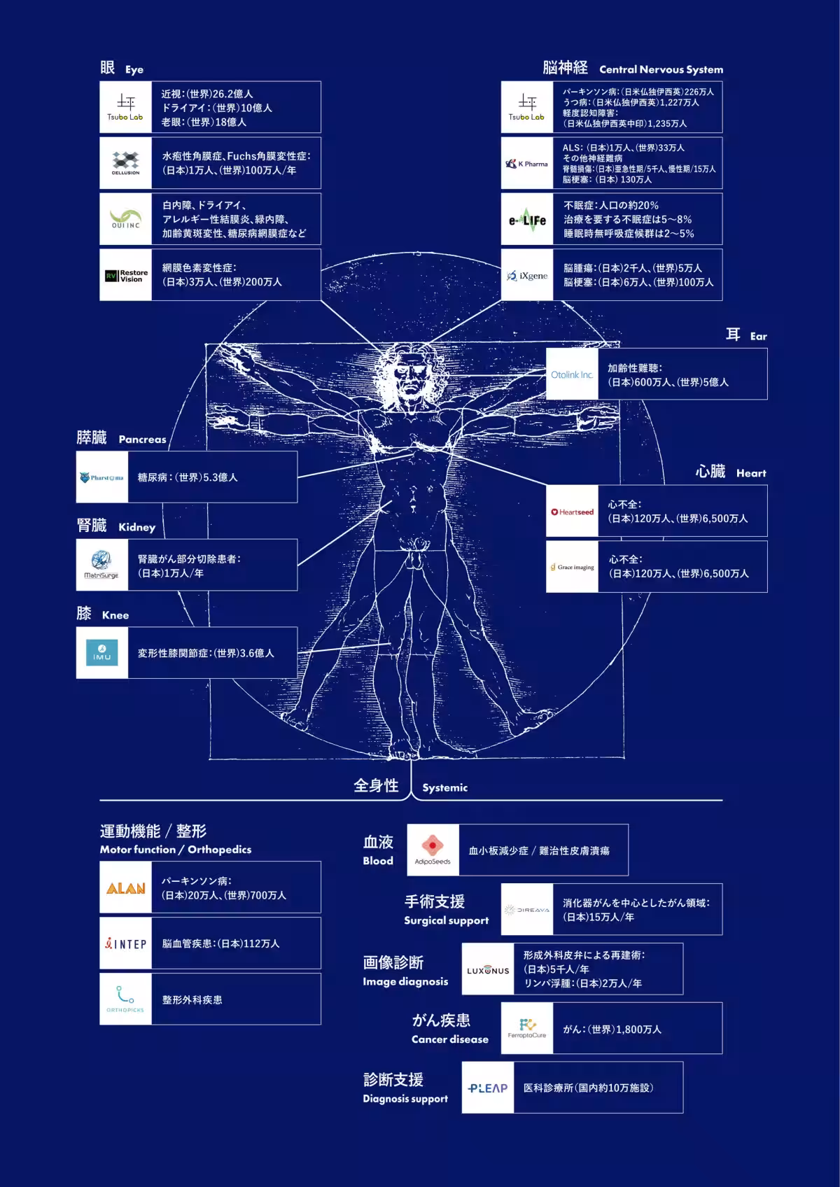 画像12