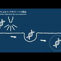 革新遺伝子導入装置