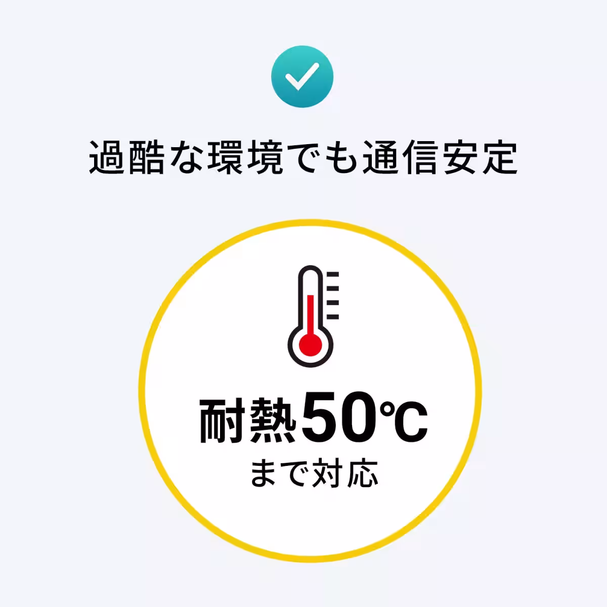 画像12