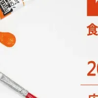 キボリノコンノ展