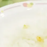 夢のレトルトカレー