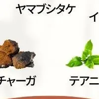 スーパードリンクアダプトラテ