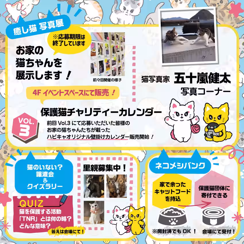 画像12