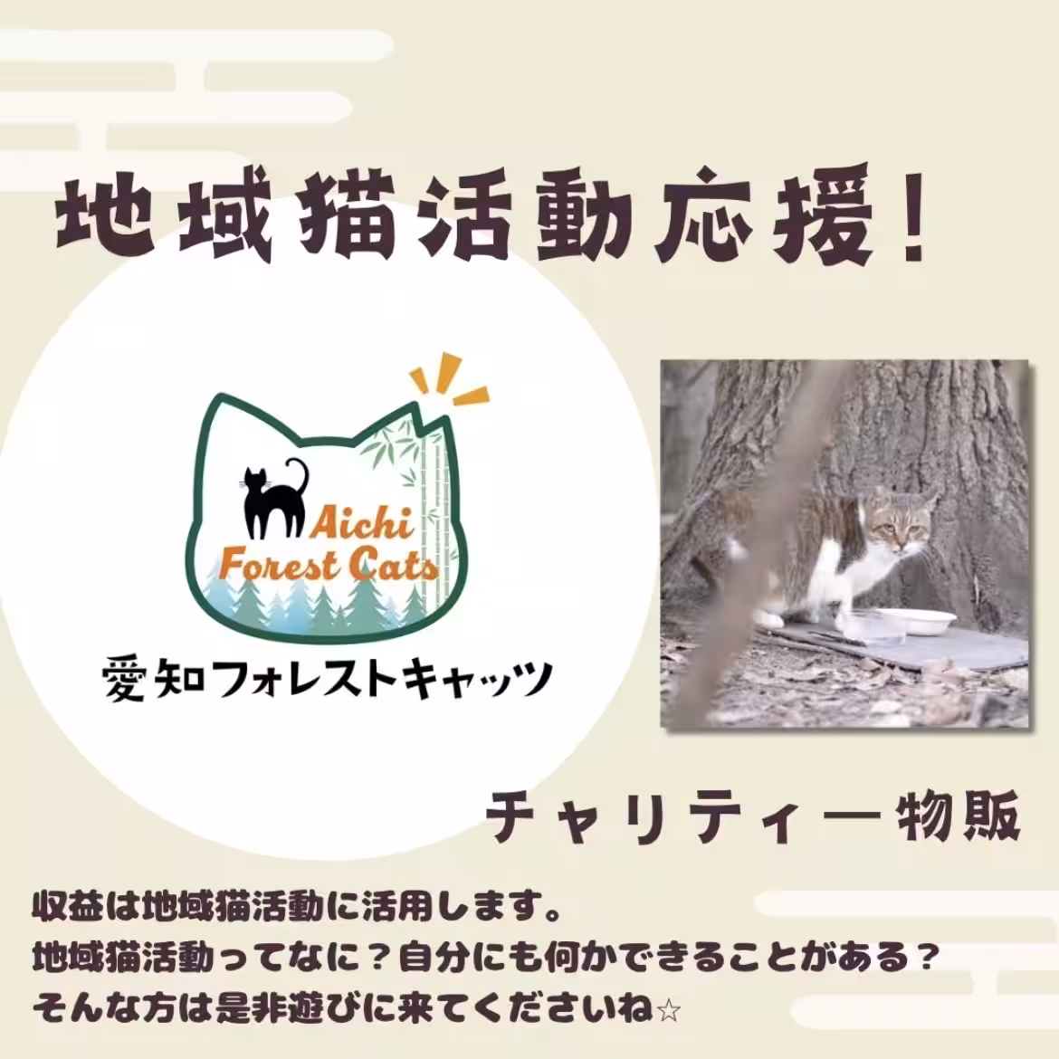 画像15