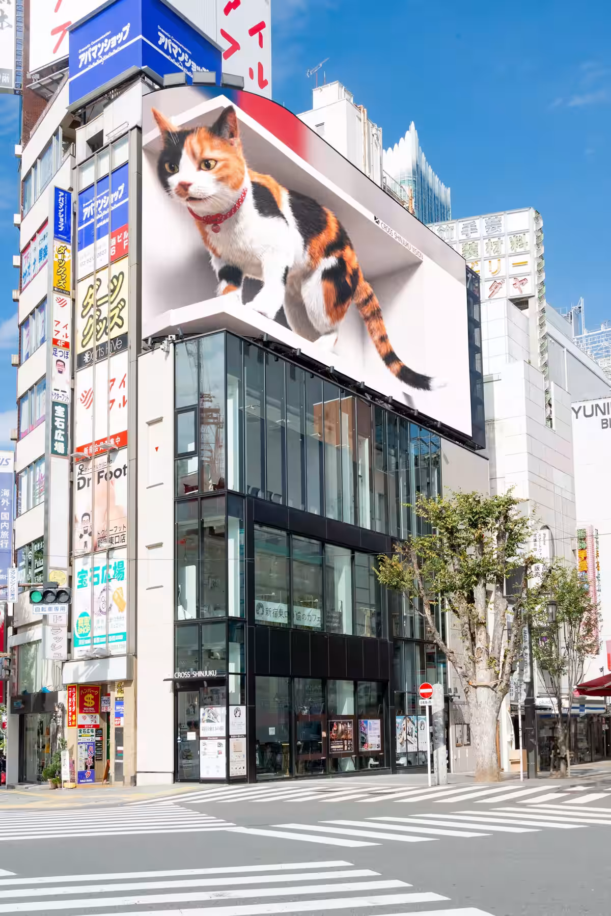 画像5