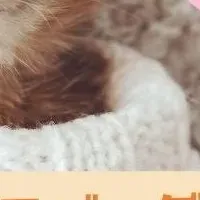 猫の日とバッグ