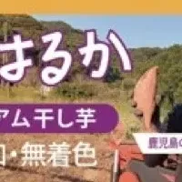 新発売の干し芋セット