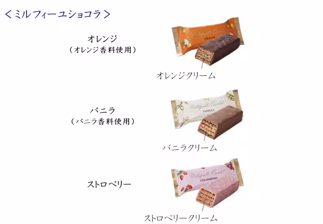 画像14