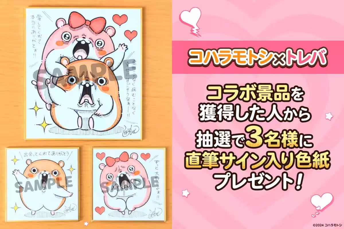 画像6