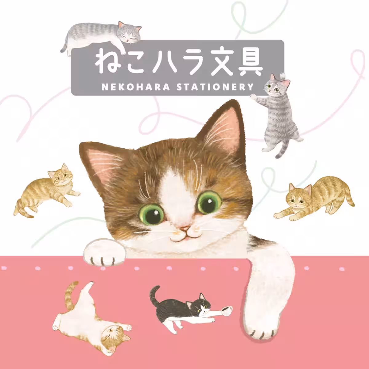 画像10