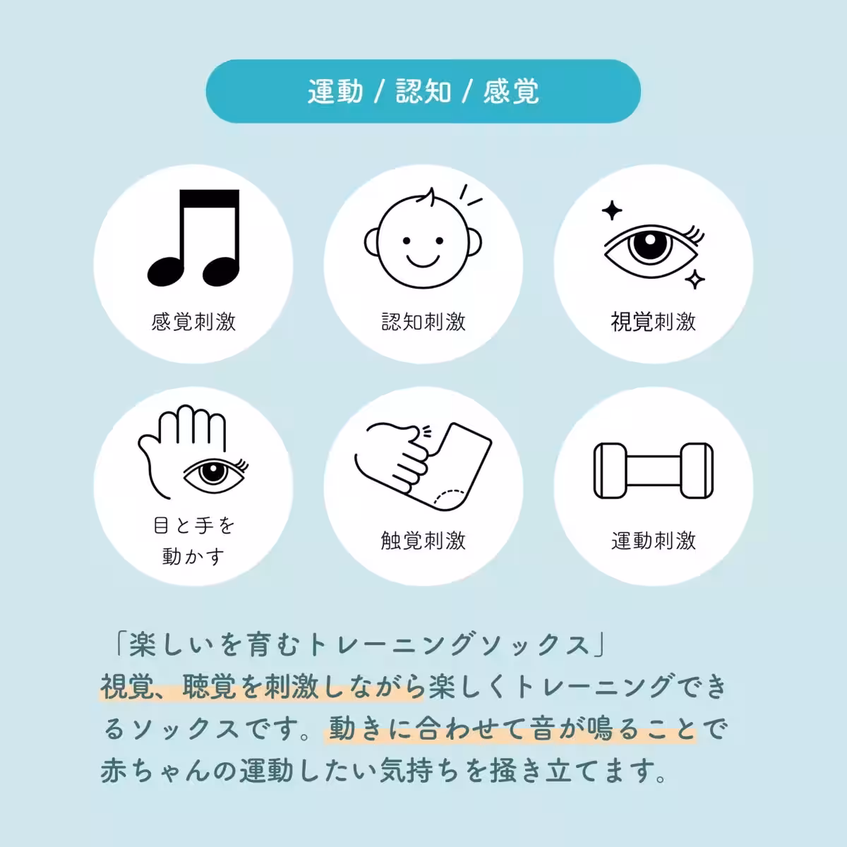 画像24