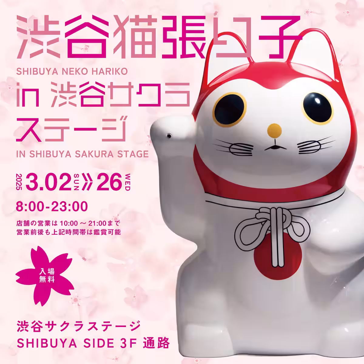 画像14