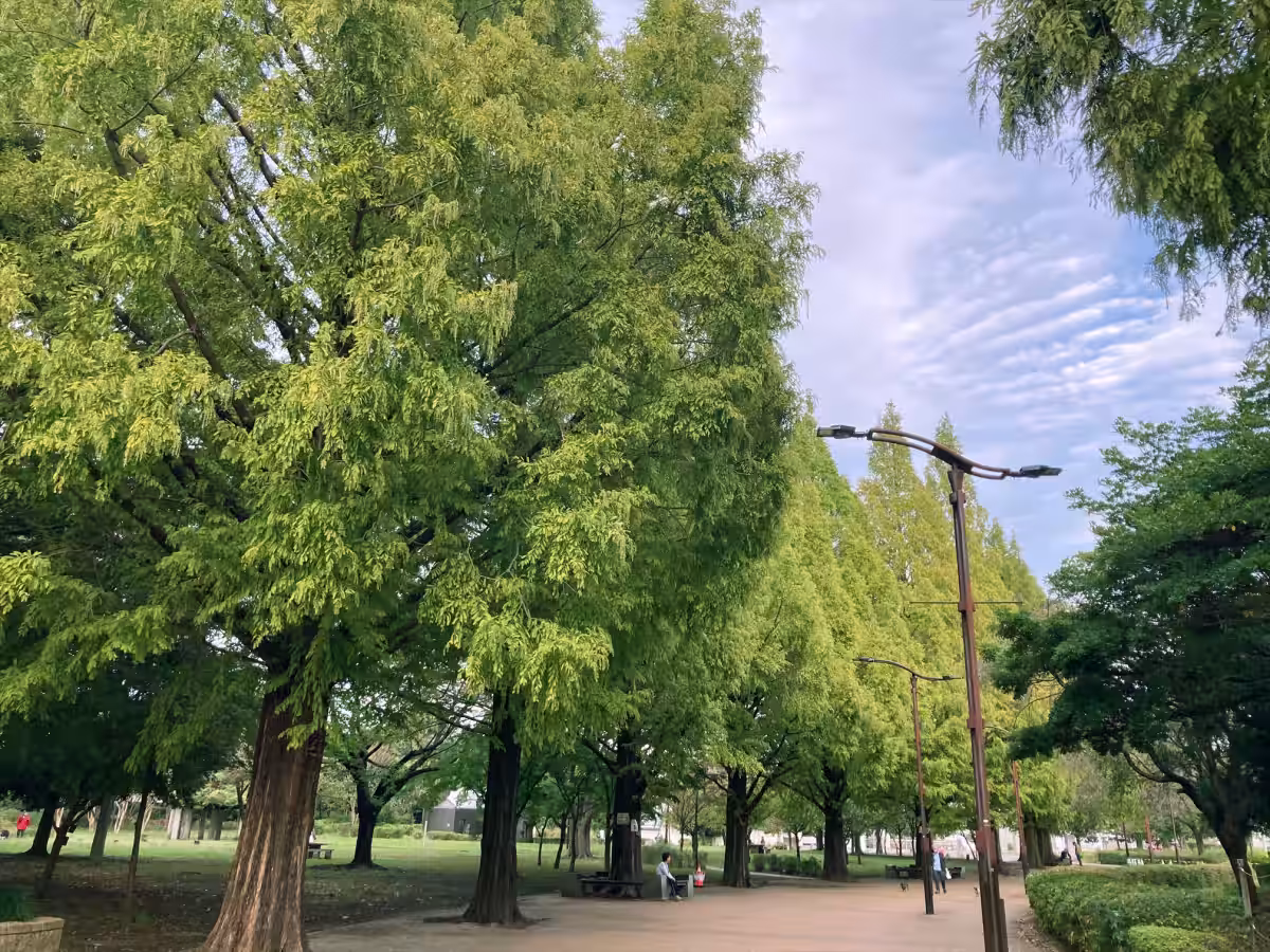 画像19