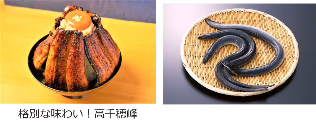 画像17