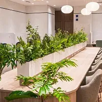 HAKADORU渋谷宮益坂店