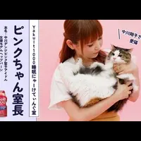 猫の日特別企画