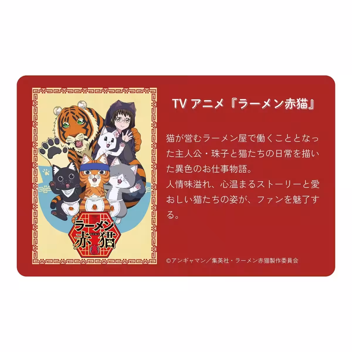 画像9