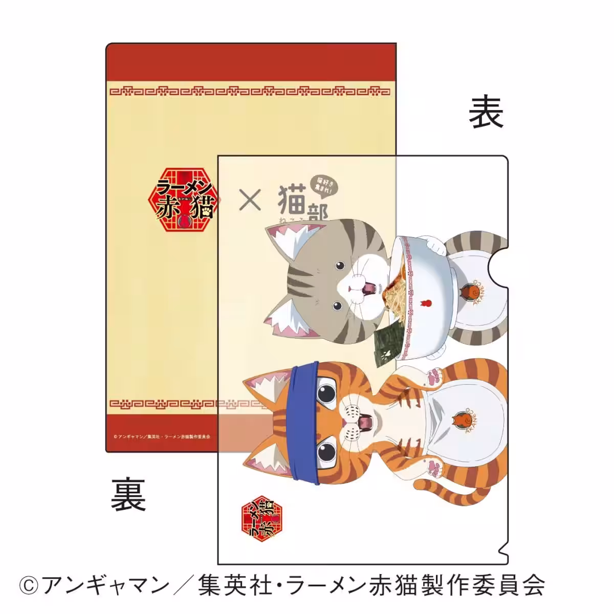 画像11