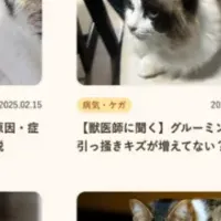 猫に関するコラム特集