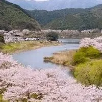 桜と郷土料理の旅