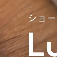 新製品「Luminella」