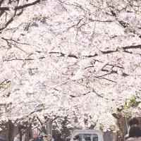 春の蒜山高原