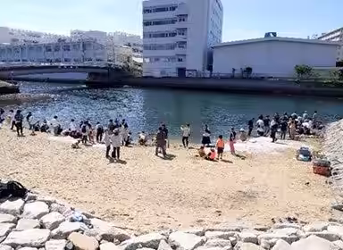 画像7