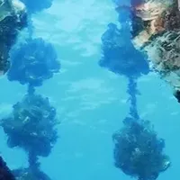 さかなの日フェア