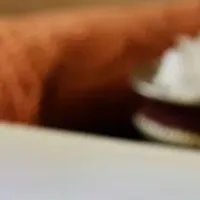 春のスパメニュー