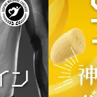 TIGORA新プロテイン発売