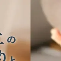 GOKUMINタオル新登場