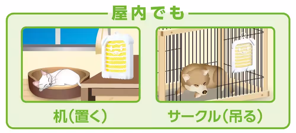画像6