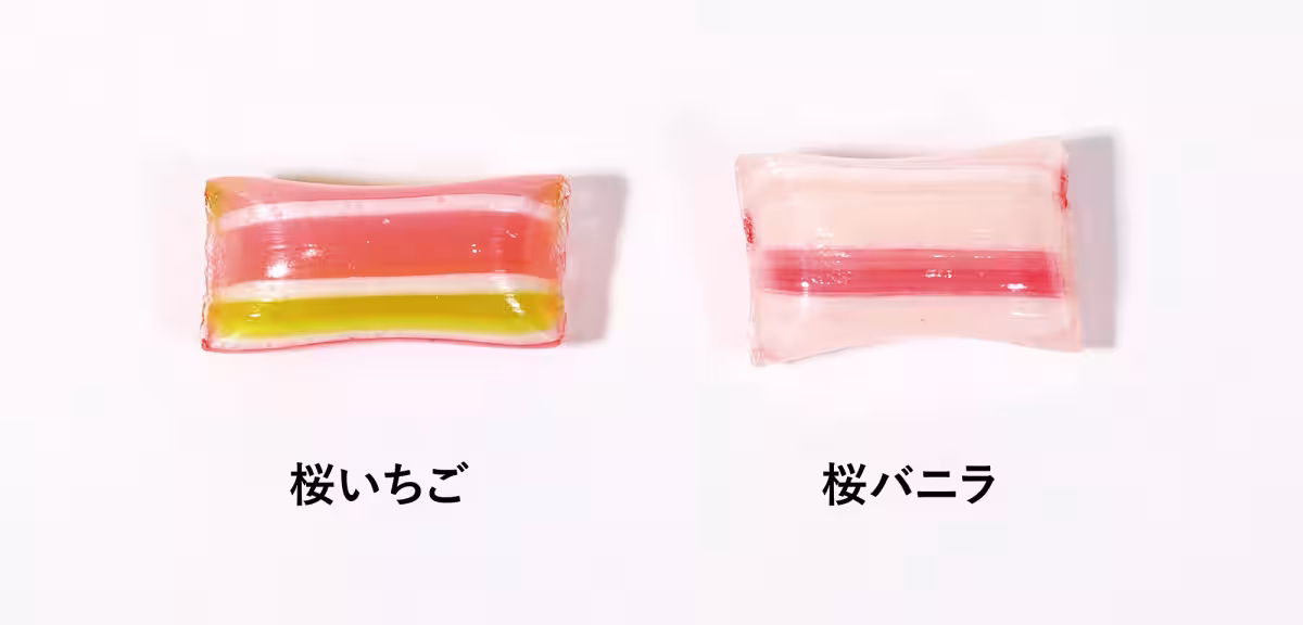 画像11