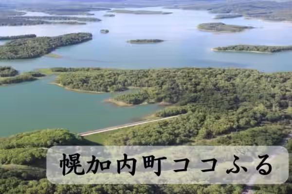 画像6