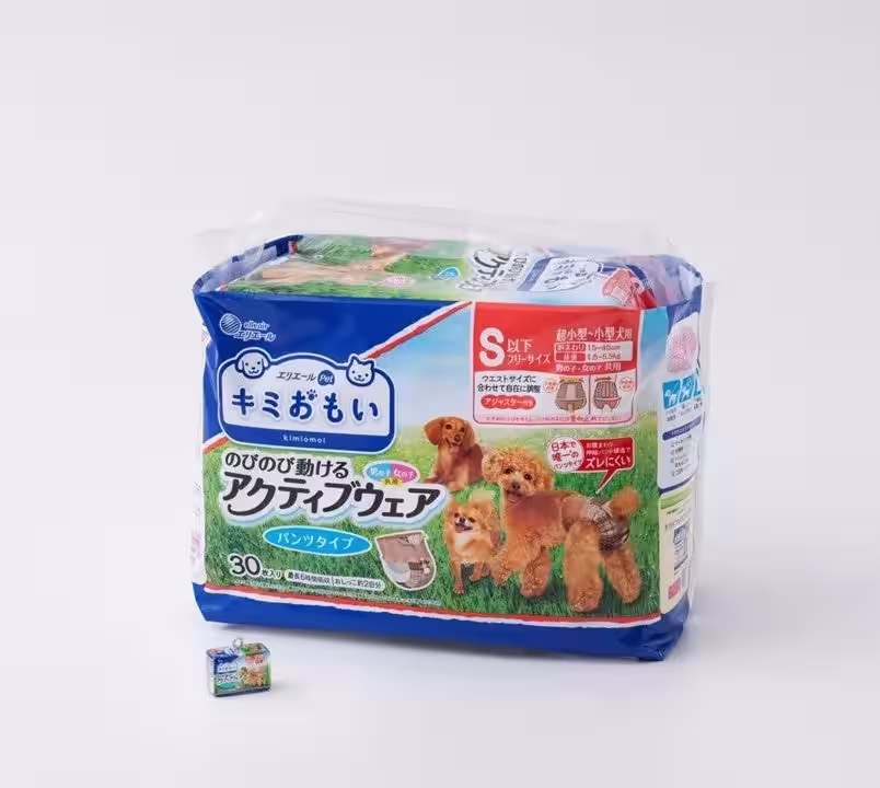 画像9