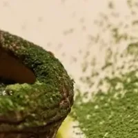サルベジーの挑戦