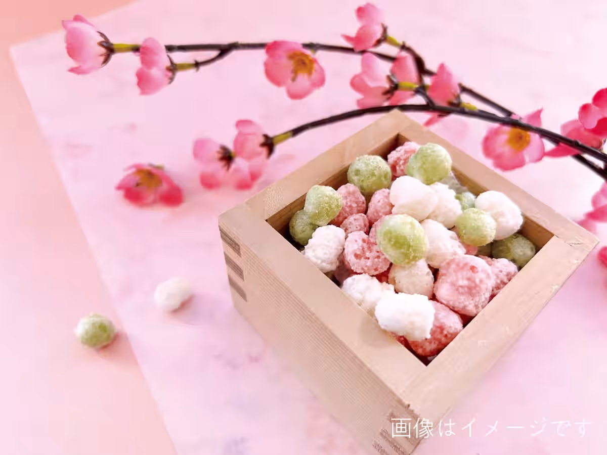 画像4