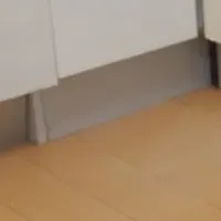 最強ゴキブリスプレー