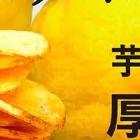 新登場！ピュアポテト