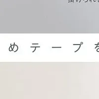 新感覚帽子アクセサリー
