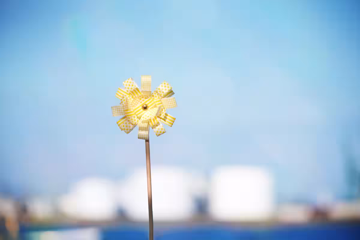 画像11