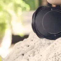 綾鷹の春キャンペーン