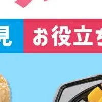 春の行楽は弁当！