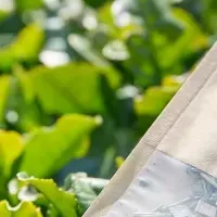 オリジナルティー登場