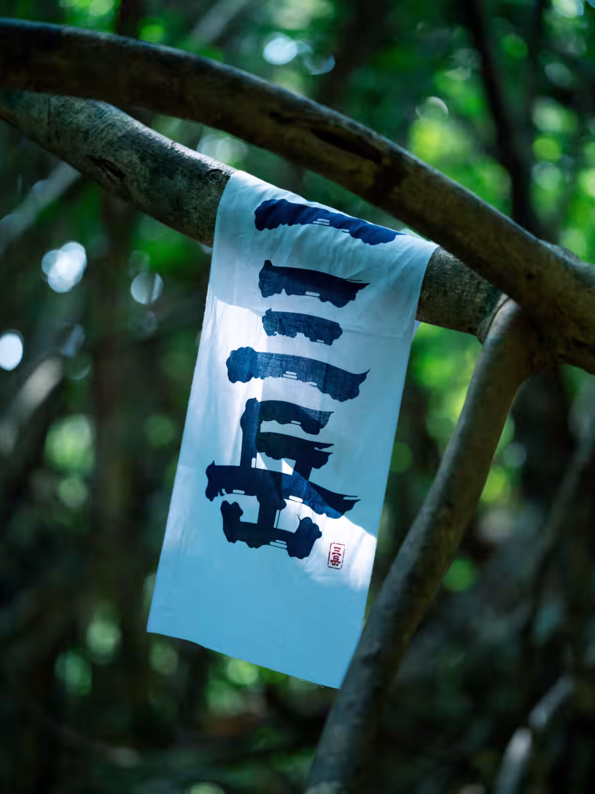 画像14