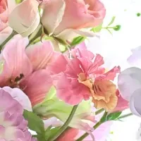 M FLORA自由が丘オープン