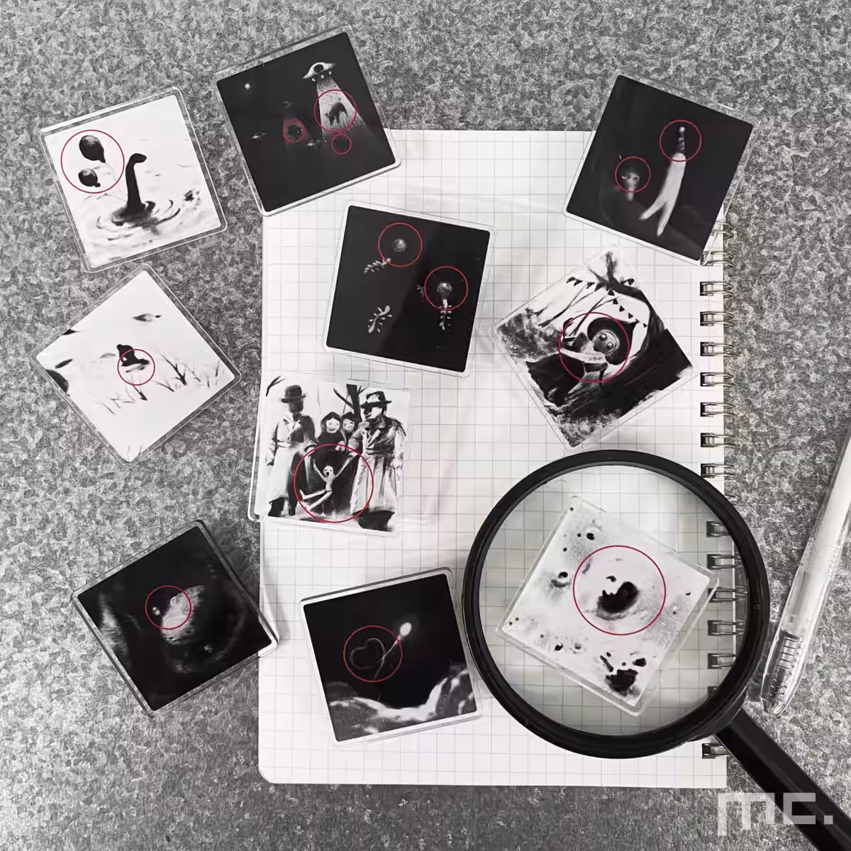 画像7