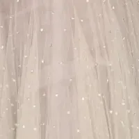 ゼグラーのDIORドレス