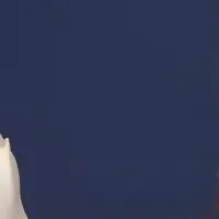 紗栄子も愛用！